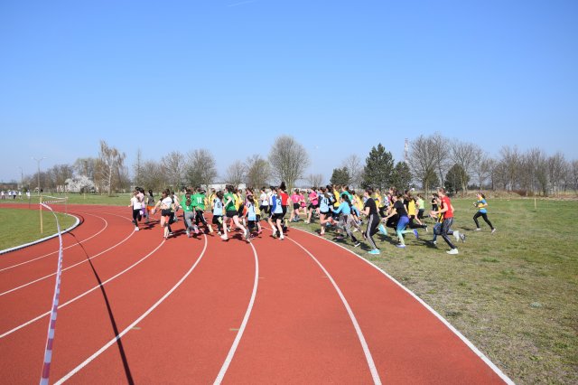 biegikwi 18